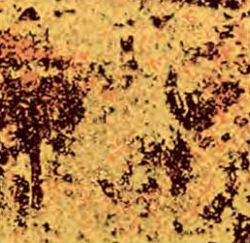 Chocolate Transfer Sheet Antique Gold